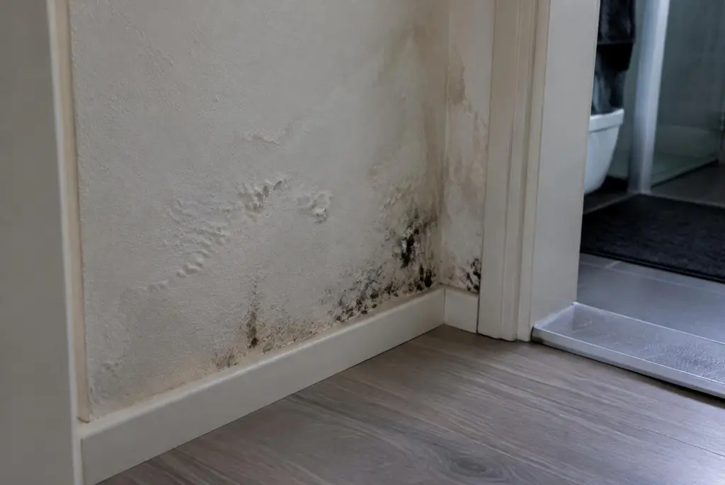 Lekdetectie Ankeveen – vochtplek met schimmel op een muur